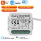 Módulo de interruptor Tuya inteligente WiFi de contacto limpio para montaje empotrado, 240 V CA o 5-48 V CC.