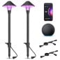 Tuya Kit 4 Luci LED a Fungo RGBW Smart Wi-Fi da Giardino