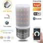 Lampadina Corn LED Smart E27 Tuya WiFi+BT CCT Dimmer Alexa