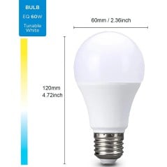 Ampoule intelligente Tuya E27 A60 9W CCT 2700-6500K dimmable WiFi