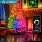 Guirlande lumineuse LED Tuya RGBIC Matter Smart WiFi et Bluetooth