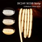 Witte SCOB LED-strip 8 mm 320 LED's per meter DC24V 5 meter