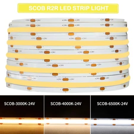 White SCOB LED Strip 24V 5m – High Rendering CRI90, Uniform Light