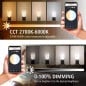 Tuya Lampadina Smart WiFi G9 LED Corn CCT Dimmerabile