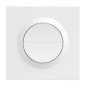 Interrupteur mural double Sonoff Orb-ZBW2L avec module Zigbee intelligent MINI-ZB2GS-L