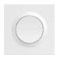 Interrupteur mural intelligent Zigbee Sonoff Orb-ZBW2 MINI-ZB2GS à double interrupteur