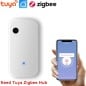 Tuya Sensore Di Luminosità Ambientale Smart Wifi o Zigbee