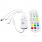 Tuya WiFi Smart LED-controller 4-pins RGB + afstandsbediening Tuya WiFi Smart LED-controller 4-pins RGB + afstandsbediening