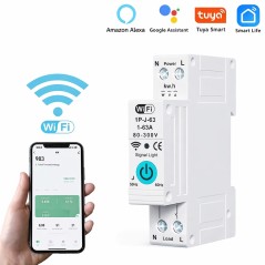 Real-time consumption monitoring via the Tuya Smart app