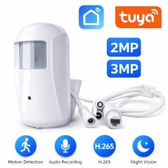 Verborgen PIR WiFi Smart Tuya-camera met nachtzicht