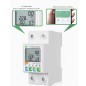 Tuya Smart WiFi Electricity Meter 1-63A with Switch and Display