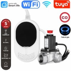 Kit rilevatore WiFi gas e monossido di carbonio con elettrovalvola immagine principale