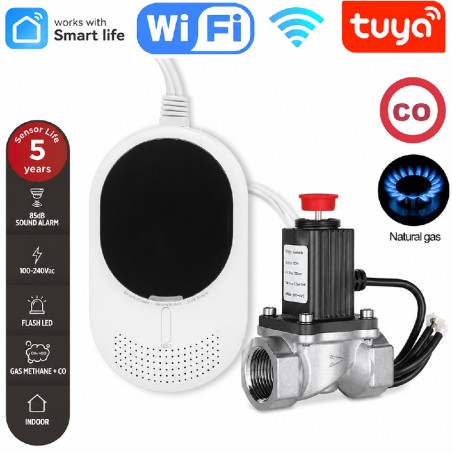 Kit detector WiFi de gas y monóxido de carbono con electroválvula imagen principal