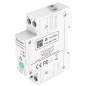Interruptor para carril DIN Sonoff BASIC-1GSP de 32 A con tecnología Smart Matter a través de WiFi.