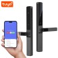 Tuya biometrisch slim wifi-slot met dubbele opening, vingerafdrukscanner, RFID en pincode.