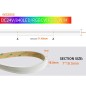 Adressierbarer RGB+CCT COB Neon-LED-Streifen WS2805 24V IP68 wasserdicht 5 Meter