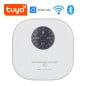 Tuya Smart WiFi- en Bluetooth-irrigatiebesturingseenheid met 12 zones, pompbesturing en regensensor