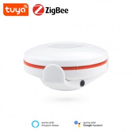 Tuya Smart ZigBee Flood Sensor Smart - Alexa und Google