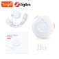 Tuya Smart ZigBee Hochwassersensor