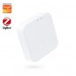 Tuya Smart Gateway WiFi ZigBee und Bluetooth 2in1