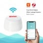 Tuya Sensore Di Allagamento con Sirena Smart ZigBee Tuya Sensore Di Allagamento con Sirena Smart ZigBee