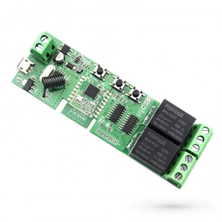 Module Tuya Smart Zigbee à deux canaux compatible avec Alexa et Google