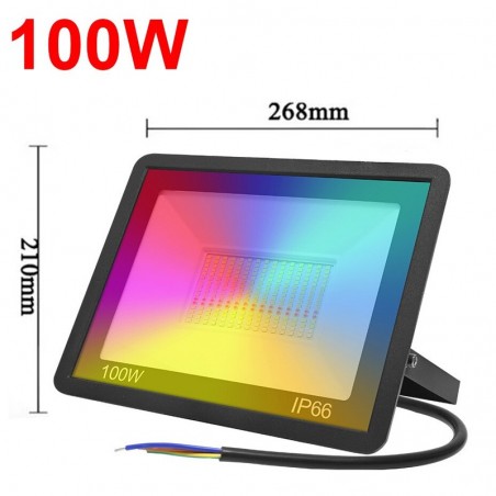 Tuya Outdoor Smart WiFi RGBCW waterdichte LED-spot 100W