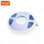 Bande LED RVB Tuya 4 broches 5 mètres