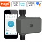 Tuya Smart Bluetooth Controller für intelligente Bewässerung