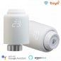 Tuya Valvola Termostatica Smart WiFi