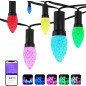 Tuya String of Christmas lights Diamond Smart WiFi Outdoor