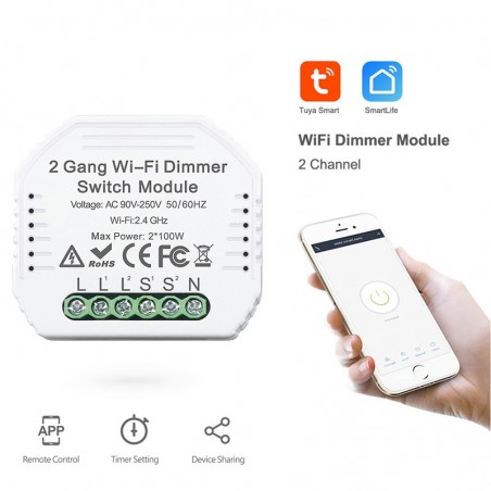 Contrôleur d'éclairage intelligent Wi-Fi à deux canaux Tuya Mini