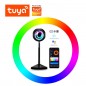 Tuya Lampada Ufo Sunset Smart WiFi Proiettore di Luci