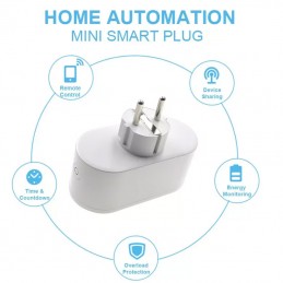 Tuya Double Schuko Smart WiFi Socket 16A with Consumption Measurement