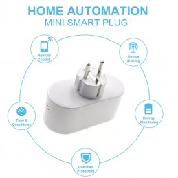 Tuya Double Schuko Smart WiFi Stopcontact 16A met Verbruiksmeting
