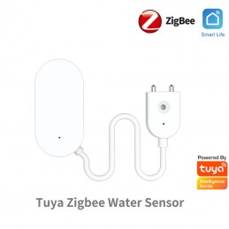 Tuya Mini Smart ZigBee...