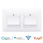 Interruptor de pared doble WiFi inteligente empotrado Tuya