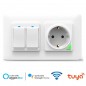 Tuya Wandeinbausteckdose mit doppeltem Smart WiFi Switch Tuya Wandeinbausteckdose mit doppeltem Smart WiFi Switch