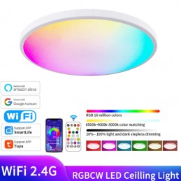 Tuya Smart WiFi Dimmable Led Ceiling Light with Backlight