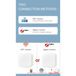 Linkoze Interruttore wireless per Scene Smart Zigbee 2 Pulsanti Fisici