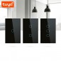 Tuya Smart WiFi Touch Switch mit RF 433 MHz Schwarz Tuya Smart WiFi Touch Switch mit RF 433 MHz Schwarz