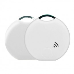 Dispositif De Suivi Intelligent Tuya, Mini Étiquette De Clé, Localisateur  Pour Enfants, Animaux De Compagnie, Bluetooth, Véhicule Intelligent,  Anti-perte - Alarme Anti-perte - AliExpress