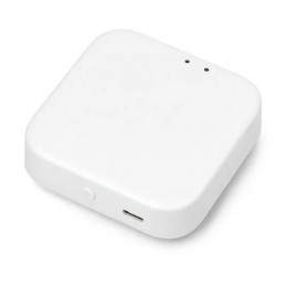 Eleva la tua casa intelligente con il Gateway Smart WiFi e Bluetooth
