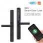 Serrure de porte biométrique Tuya Smart WiFi extérieur étanche