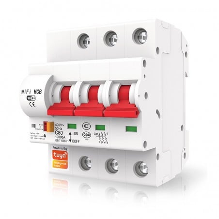 Tuya Magnetotermico Intelligente Modulare Automatico Smart WiFi 25A