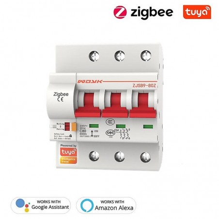 Tuya Interruttore Automatico Smart Zigbee 25A Supporta Alexa e Google