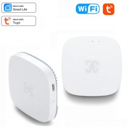 Detectie van menselijke aanwezigheid en Smart Light: beveiliging en domotica