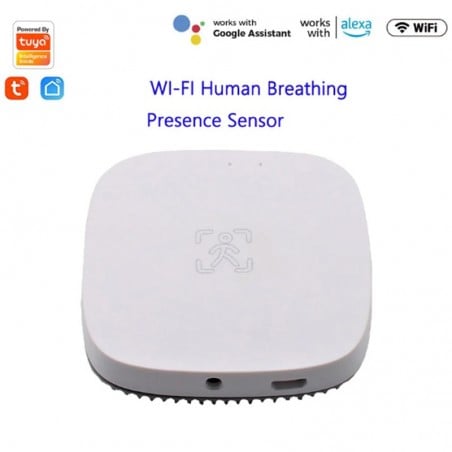 Detector de Presencia Humana y Smart Light: Seguridad y Domótica