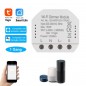 Module de Gradation WiFi Intelligent Tuya 1 Canal 150W Module de Gradation WiFi Intelligent Tuya 1 Canal 150W