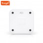 Tuya Bilancia Pesapersone Smart WiFi con Display Digitale a LED Tuya Bilancia Pesapersone Smart WiFi con Display Digitale a LED
